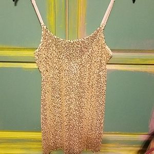 Free people sequined slip